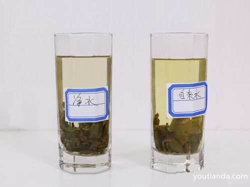 铁观音茶汤对比