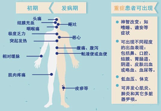 埃博拉初期病症