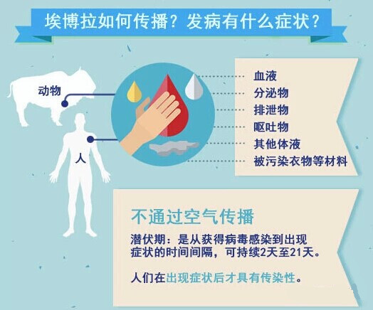 埃博拉如何传播?
